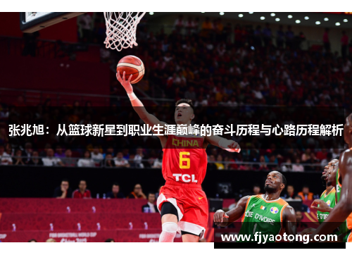 张兆旭：从篮球新星到职业生涯巅峰的奋斗历程与心路历程解析