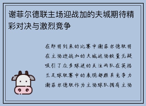 谢菲尔德联主场迎战加的夫城期待精彩对决与激烈竞争