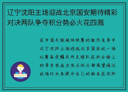 辽宁沈阳主场迎战北京国安期待精彩对决两队争夺积分势必火花四溅